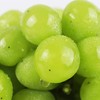 阳光玫瑰 又称相印青提 2斤/3斤±200g （48-72小时发货） 商品缩略图1