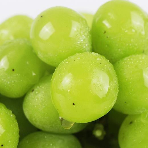 阳光玫瑰 又称相印青提 2斤/3斤±200g （48-72小时发货） 商品图1