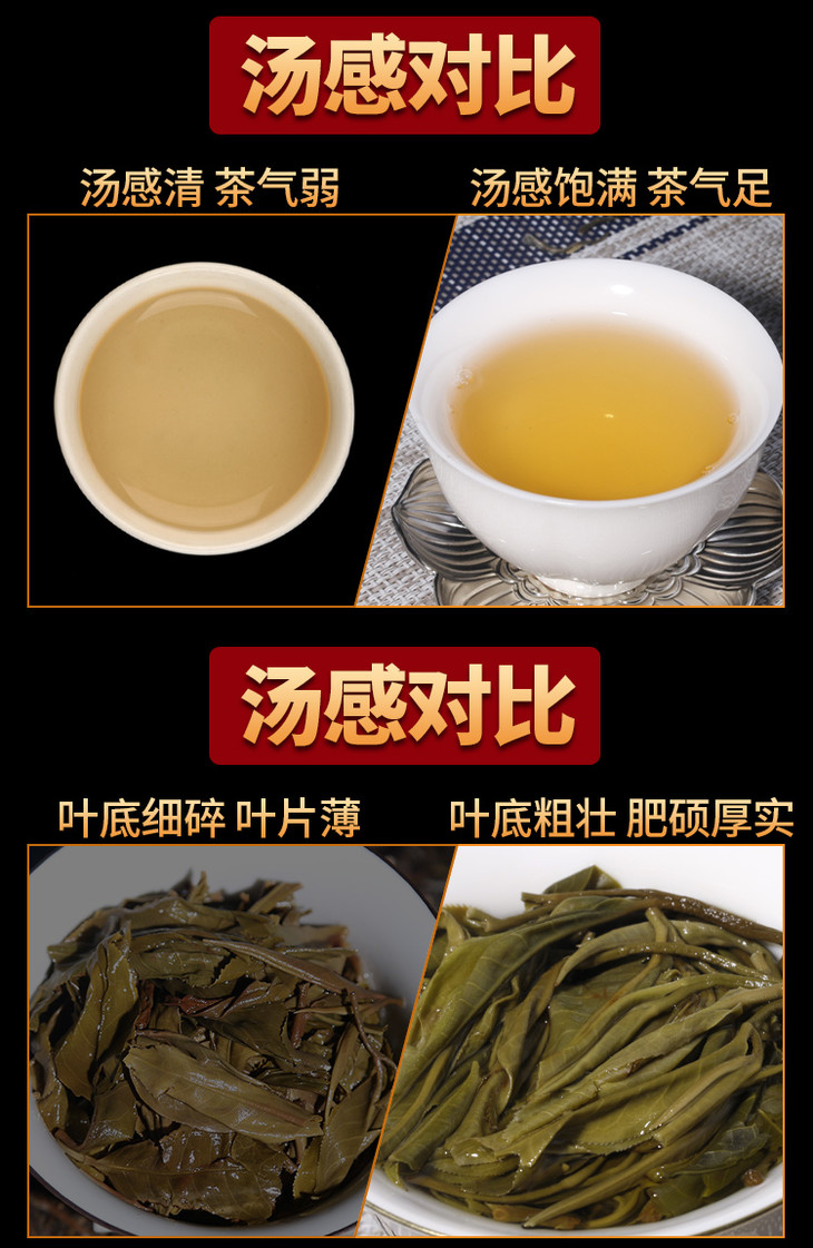2020年易武薄荷塘高杆古树纯料陈道峰监制