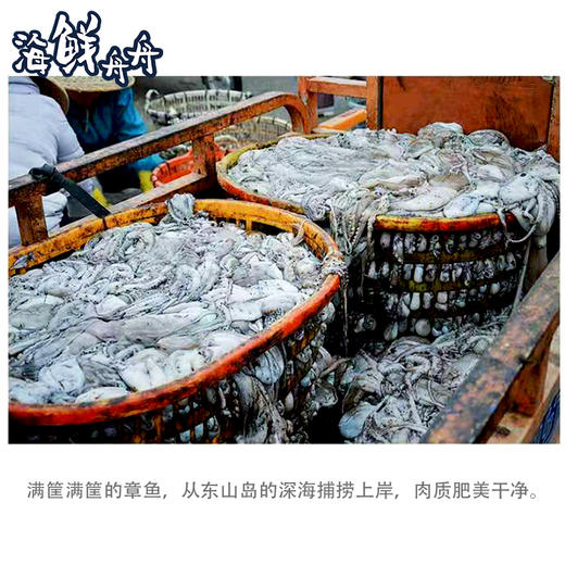 【手工】超低温 章鱼丸 250g/包 15~16只 商品图1