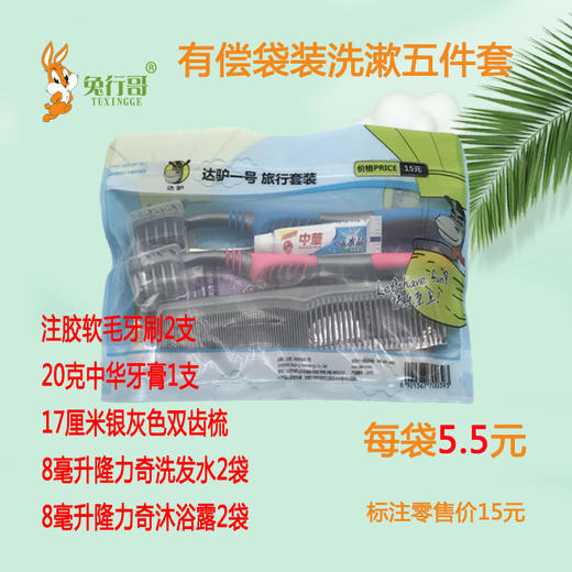 有偿袋装洗漱五件套 商品图0