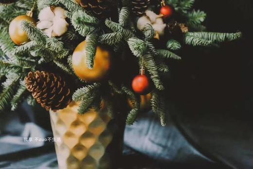 S6150JT-L花器（大） 商品图4