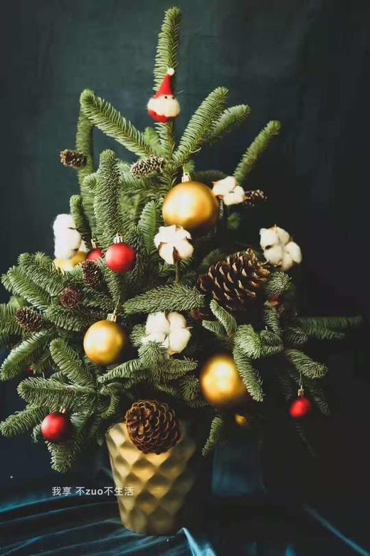 S6150JT-L花器（大） 商品图2