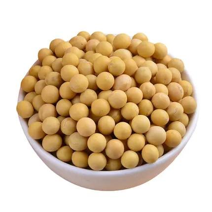 干黄豆