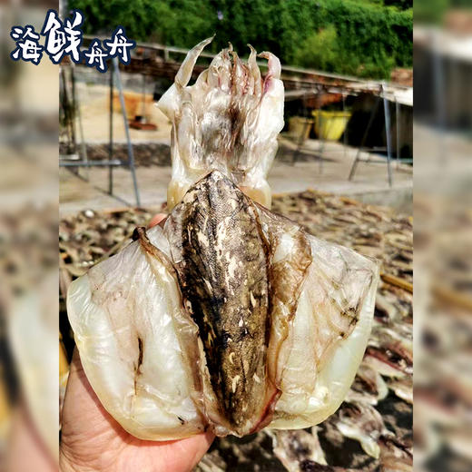 【干货】古法淡晒 野生墨鱼干 250g/5-6只 商品图3