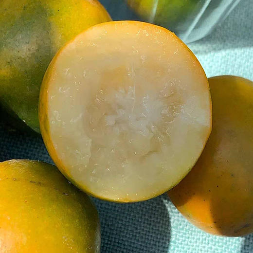 甜言蜜语小金桔 商品图3