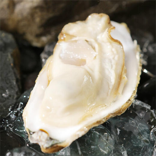 乳山生蚝 商品图2