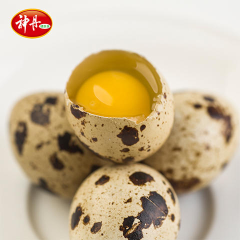【神丹】新鲜鹌鹑鲜蛋 50枚装 约425g 商品图0