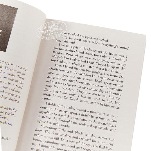 【中商原版】当天使坠落人间（2000年普林兹奖） 英文原版 Skellig David Almond 青少年小说 商品图3