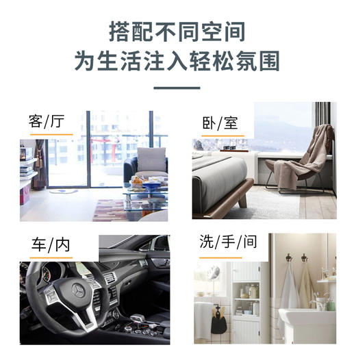 爱丽新汽车办公室  植物萃取罐头香氛 商品图2