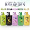 飘柔家庭护理系列洗发露750ml/瓶 商品缩略图1