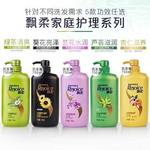 飘柔家庭护理系列洗发露750ml/瓶 商品图1