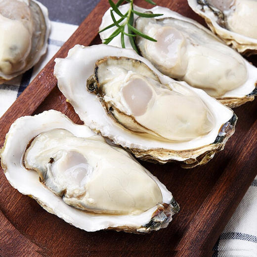 乳山生蚝 商品图0