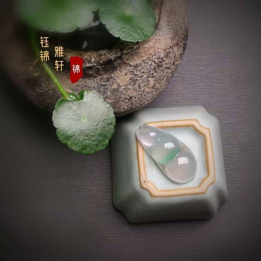 翡翠福豆 商品图5