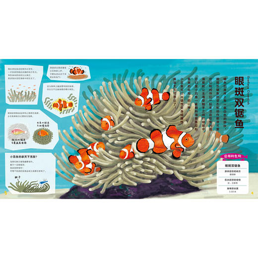 《一起去逛动物园水族馆：不可不知的水族馆》([日]阿部浩志) 商品图3