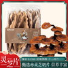 【象记狂欢】灵芝切片125克|精选长白山灵芝｜纯净道地｜煲汤｜煮茶好选择 商品缩略图0