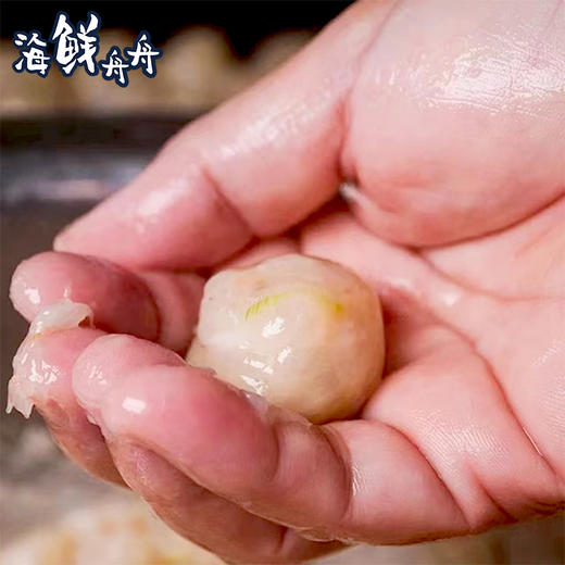 【手工】超低温 虾肉丸 200g/包 约12个 商品图3