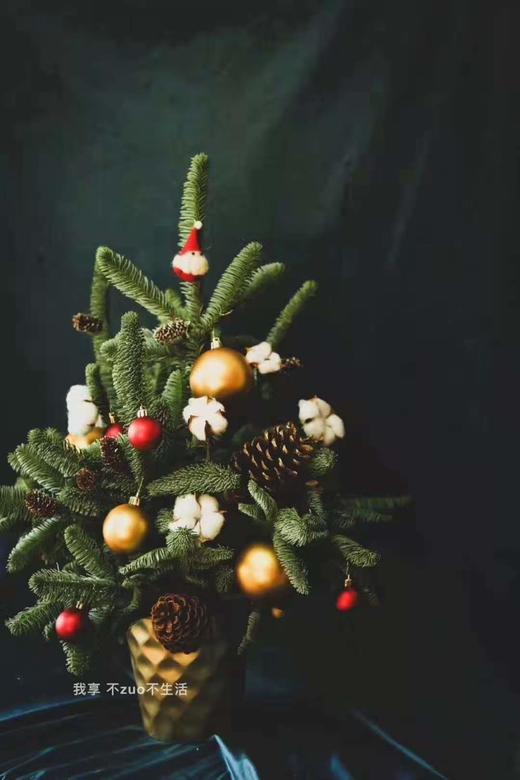 S6150JT-L花器（大） 商品图1