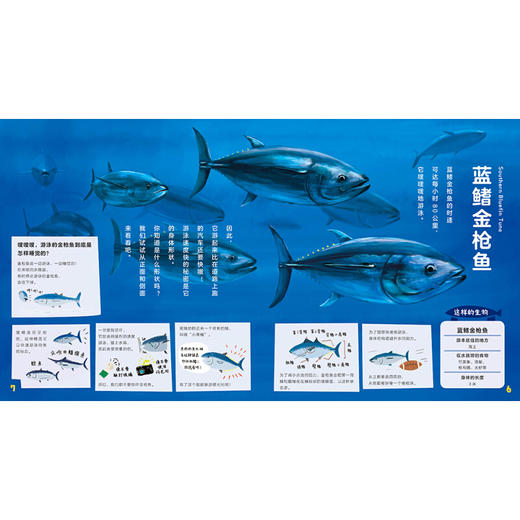 《一起去逛动物园水族馆：不可不知的水族馆》([日]阿部浩志) 商品图4