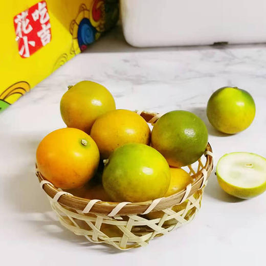 甜言蜜语小金桔 商品图1