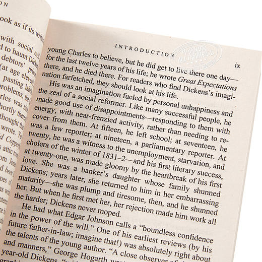 【中商原版】伟大前程英文原版小说远大前程世界经典名著小说 Great Expectations 狄更斯经典名著 双城记 雾都孤儿作者 商品图3