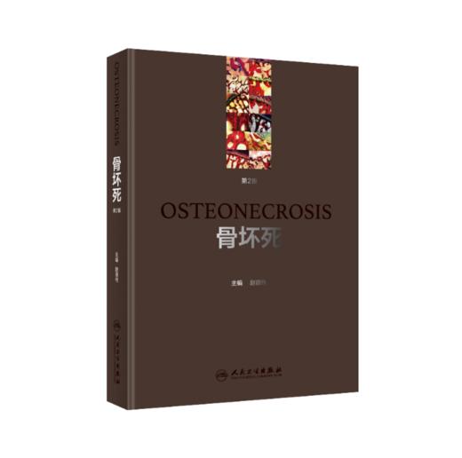 骨坏死（第2版）    主编：赵德伟    人卫出版 商品图0