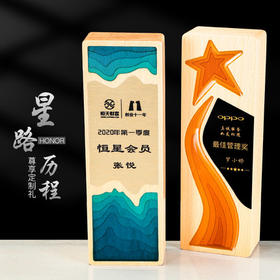 水晶创意新款木质奖杯定制定做五角星实木奖牌年会优秀员工