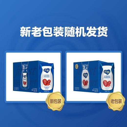纯甄红枣枸杞风味酸牛乳利乐钻200g×10包 商品图1
