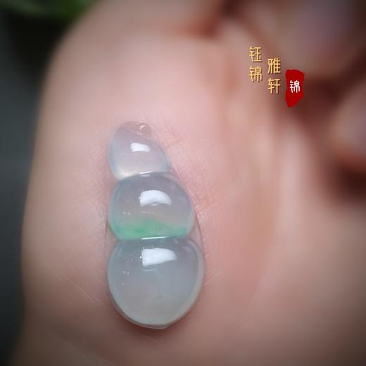 翡翠福豆 商品图2