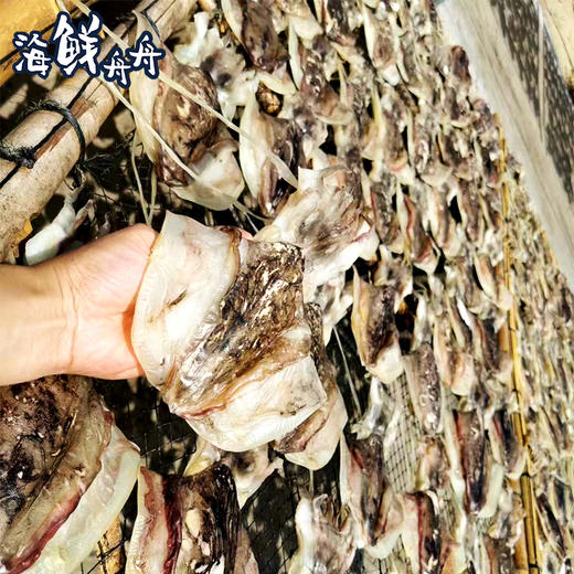 【干货】古法淡晒 野生墨鱼干 250g/5-6只 商品图2