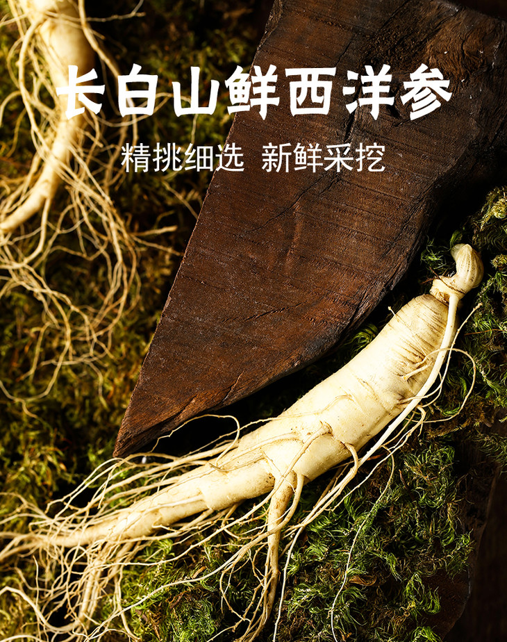 长白山鲜西洋参 森林黑土种植 甘香甜美 温补不上火