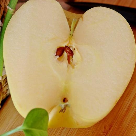 维纳斯金苹果源自日本优质品种生态脆甜苹果入口酥脆果肉清甜甜度1722