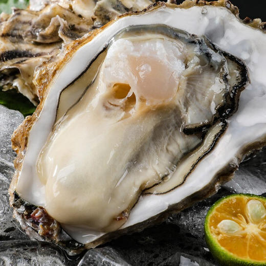 乳山生蚝 商品图1