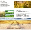 北大荒 北国香米10kg/黑土种植/优质长粒 商品缩略图4