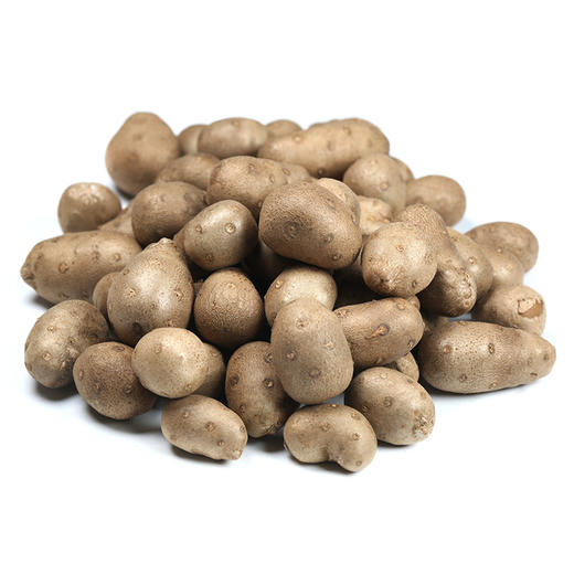 河南焦作温县铁棍山药豆正宗山药蛋3斤装 商品图3