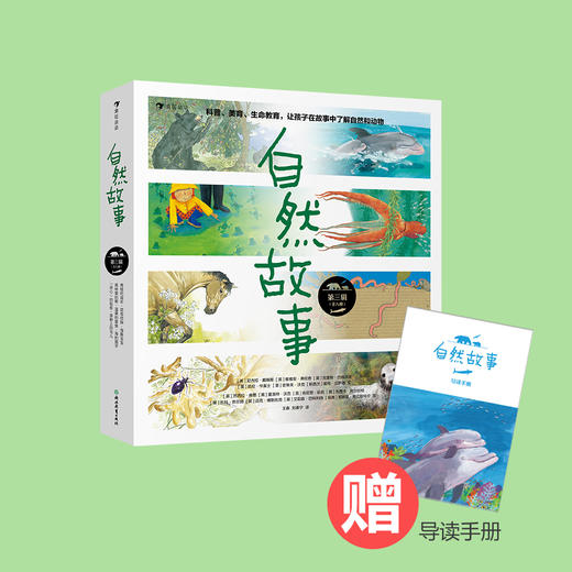 自然故事全三辑（全24册）根据英国学校科学大纲编写  一边看故事一边学科普 商品图6