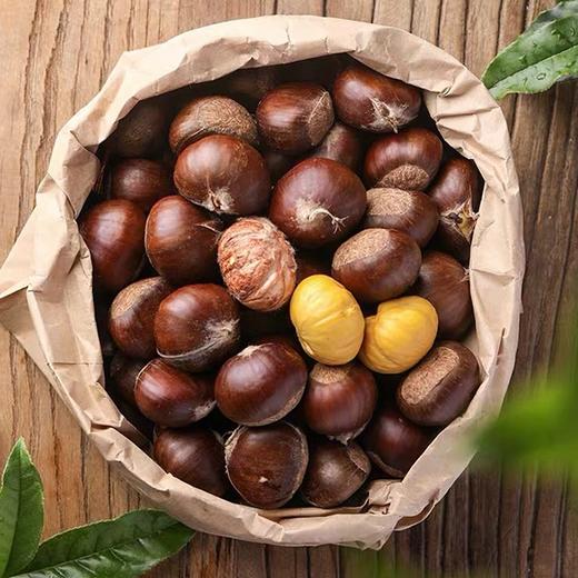 【正宗迁西鲜板栗】约2.4斤/袋，精品果 商品图0