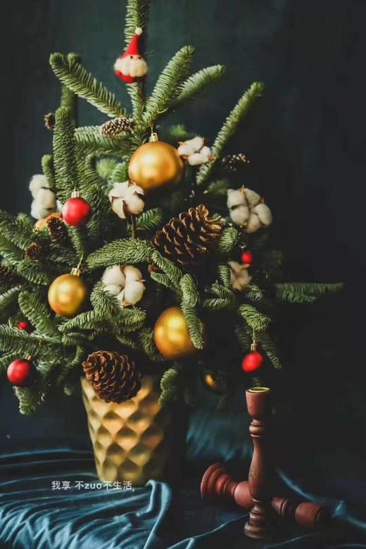 S6150JT-L花器（大） 商品图3