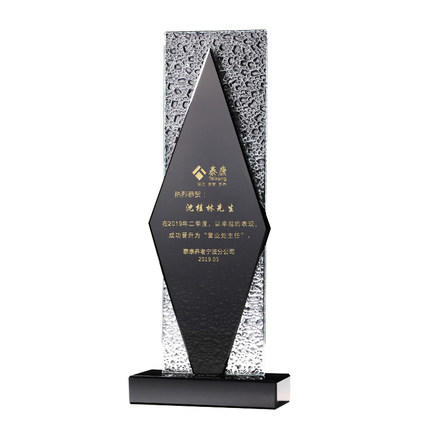 水晶奖杯定制创意奖杯授权牌奖牌定制刻字定做荣誉牌匾公司员工奖 商品图4