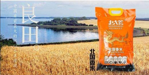 北大荒 北国香米10kg/黑土种植/优质长粒 商品图1