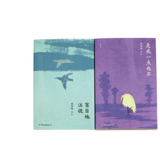是或一点也不 融合小说故事及短文的集大成之作 华语文学当代文学小说书籍 商品图4