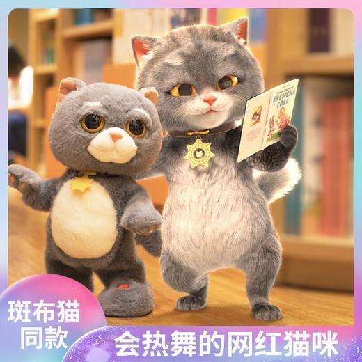 【趣巢】斑布猫之抖喵/HX0425 商品图0