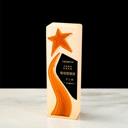 水晶创意新款木质奖杯定制定做五角星实木奖牌年会优秀员工 商品图2