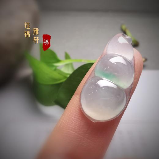 翡翠福豆 商品图6