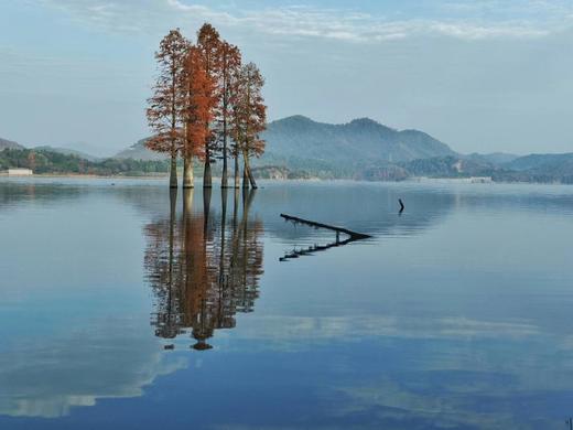 秋摄浙江——花岙岛火山岩、千亩盐田、古寺银杏5天摄影《11月》 商品图1