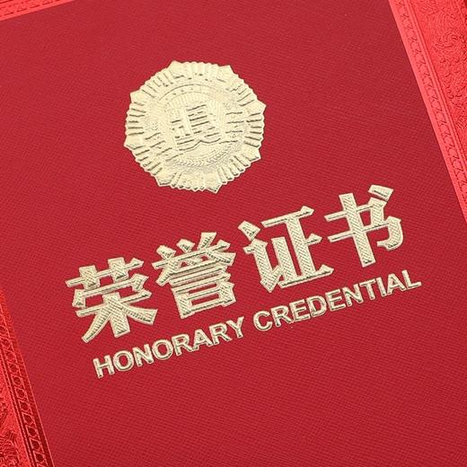 加厚特种纸浮雕烫金荣誉证书12开8开6开 商品图8