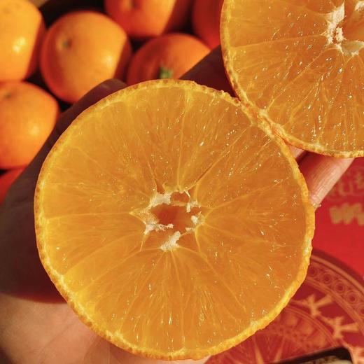 【广西甜弯弯沃柑】10斤/箱，精品果，甜蜜多汁 商品图1