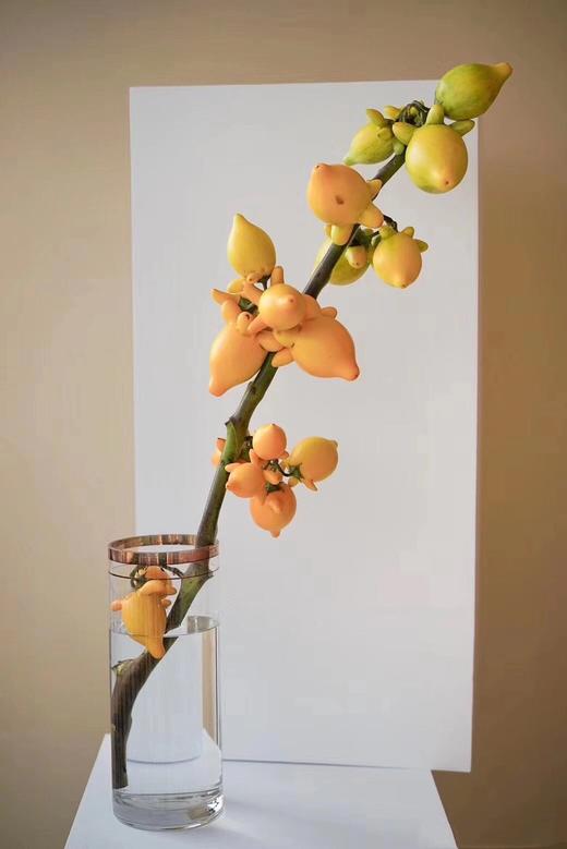 【周四秒杀】瓶插花五代果一支68元 商品图1