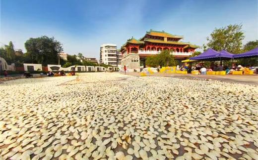 【自营】陈皮代用茶（500g/罐） 商品图5