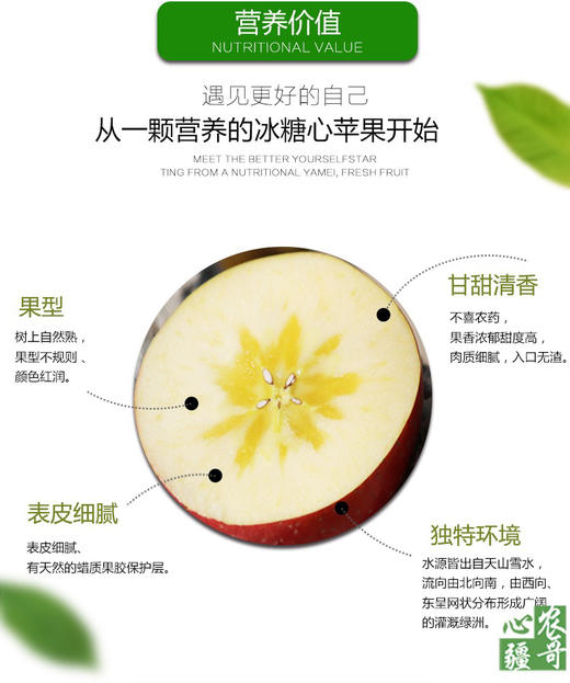 现货新疆阿克苏苹果 净寄外地运费自付重10斤 商品图7
